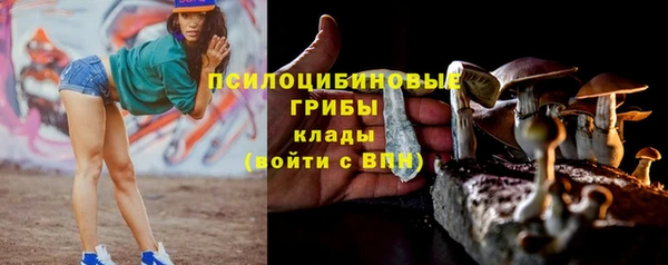 таблы Арсеньев