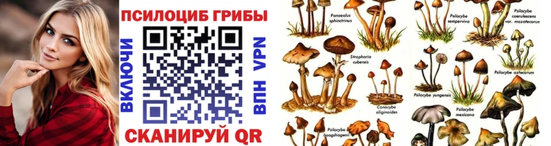 Псилоцибиновые грибы ЛСД  Купить где  Брянск 
